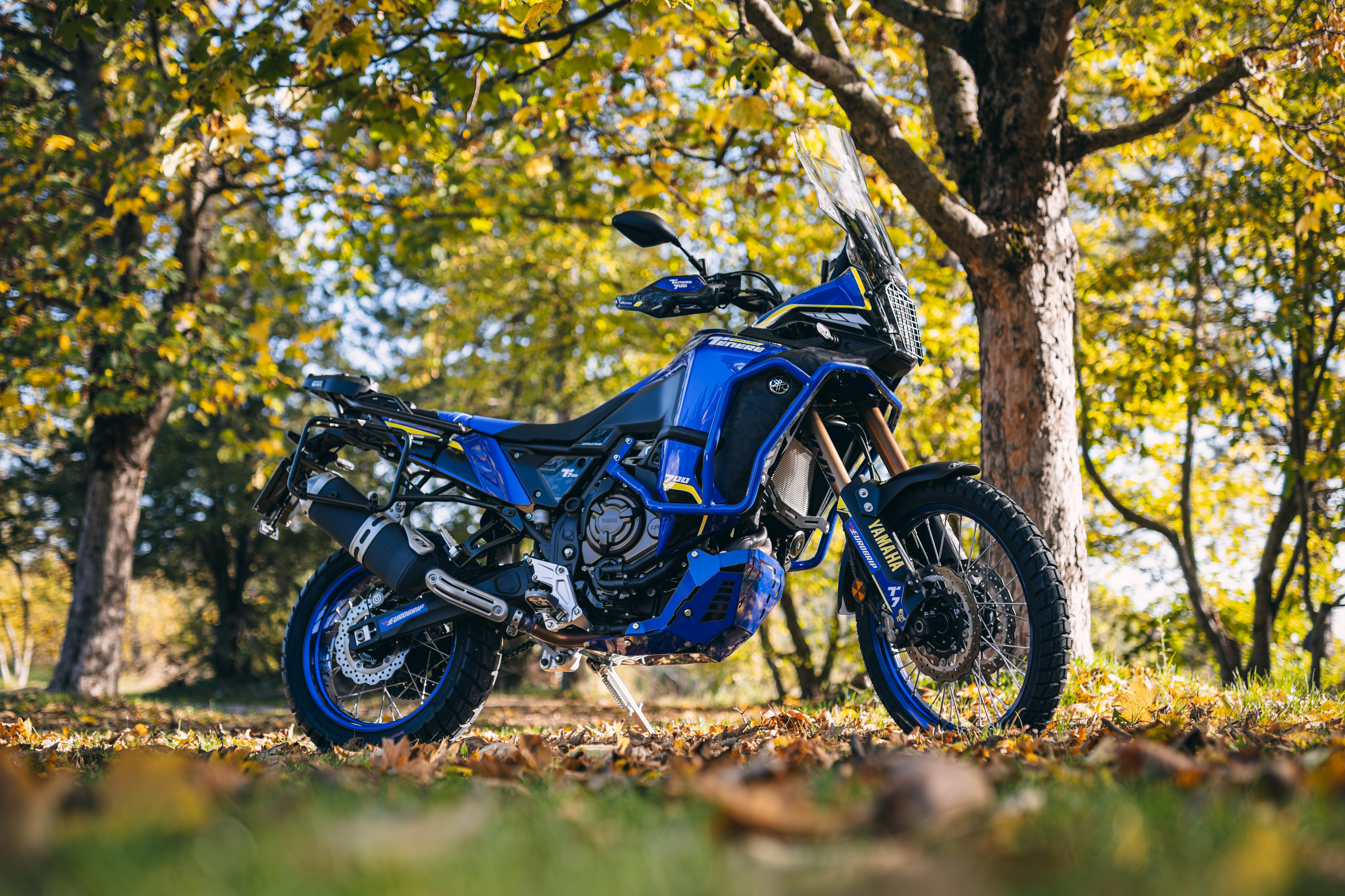4B2A4509-Migliorato-NR.jpg
